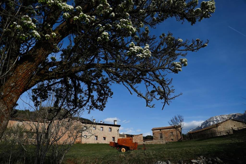 Preciosa Casa Rural Cal Jaumet Cava Екстериор снимка